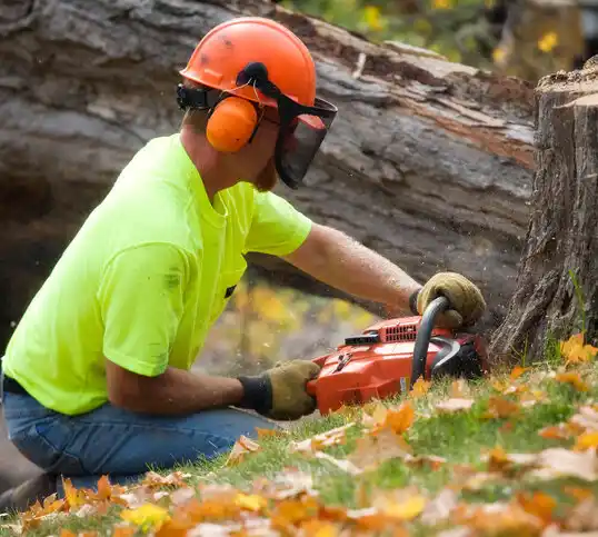 tree services Madeira